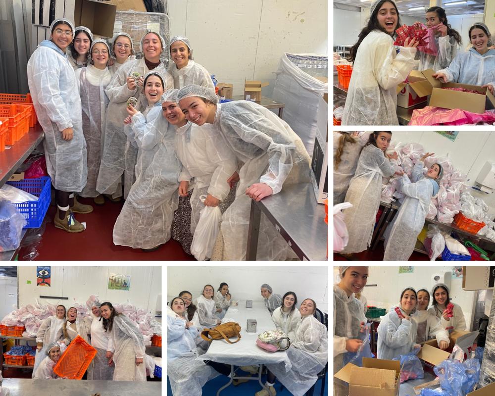 חב״ב אריאל בנות קרית ארבע בהתנדבות במפעל לאריזות מזון לחיילים במלחמה💪🇮🇱